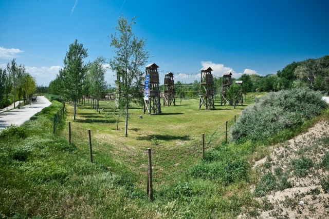 torres de madera unidas con cuerdas en el jardin